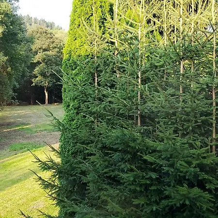 호텔 Bielatal 올번하우