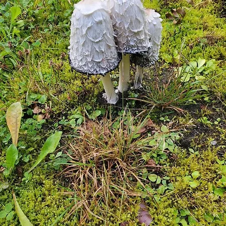Bielatal Olbernhau