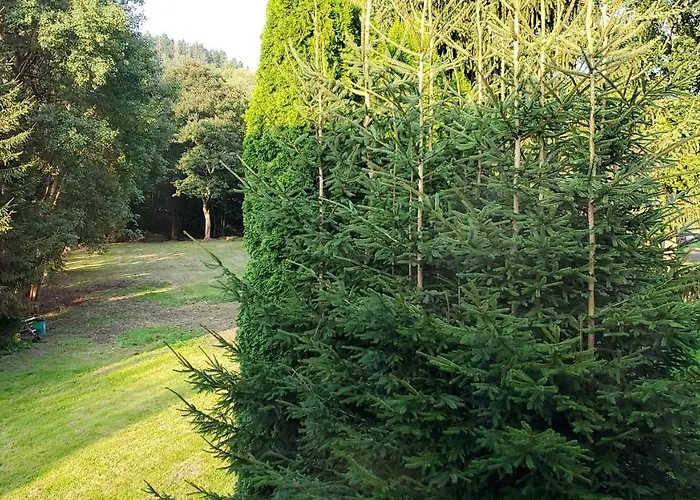 호텔 Bielatal 올번하우