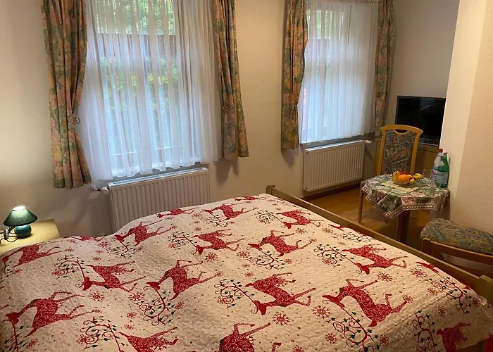 酒店 Bielatal 奥尔贝尔恩豪